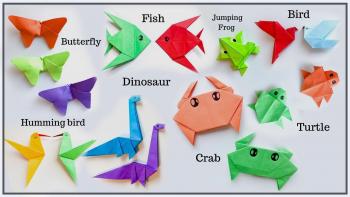 What shop is origami
